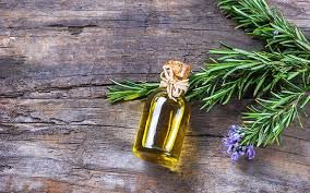 Rosemary OIL